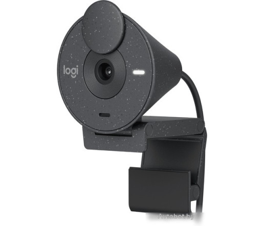 Веб-камера Logitech Brio 300 (графитовый) Веб-камера Logitech Brio 300 (графитовый)