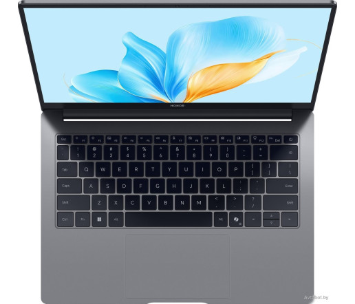 Ноутбук HONOR MagicBook X14 2025 FRG-X 5301ALXL