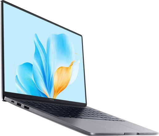 Ноутбук HONOR MagicBook X14 2025 FRG-X 5301ALXL