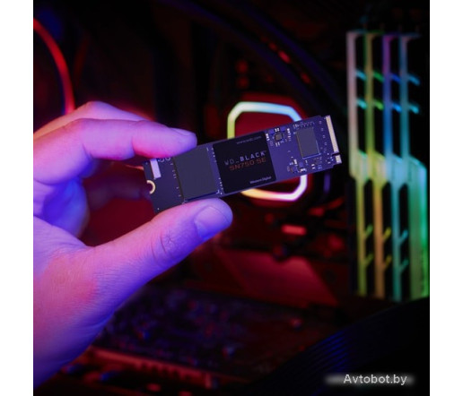 SSD WD Black SN750 SE 250GB WDS250G1B0E SSD WD Black SN750 SE 250GB WDS250G1B0E