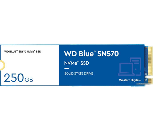 SSD WD Blue SN570 250GB WDS250G3B0C SSD WD Blue SN570 250GB WDS250G3B0C