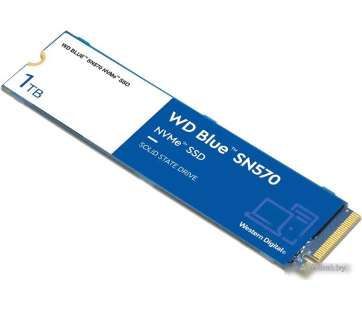 SSD WD Blue SN570 1TB WDS100T3B0C