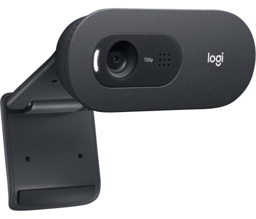 Веб-камера Logitech C505e
