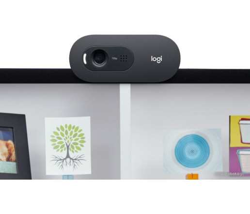 Веб-камера Logitech C505e