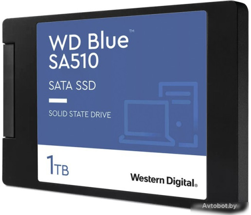 SSD WD Blue SA510 1TB WDS100T3B0A